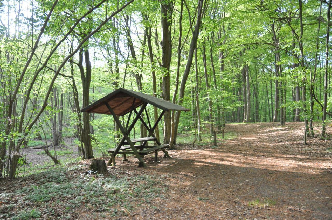 Ferienhaus Caselow 23 Bergholz Екстериор снимка