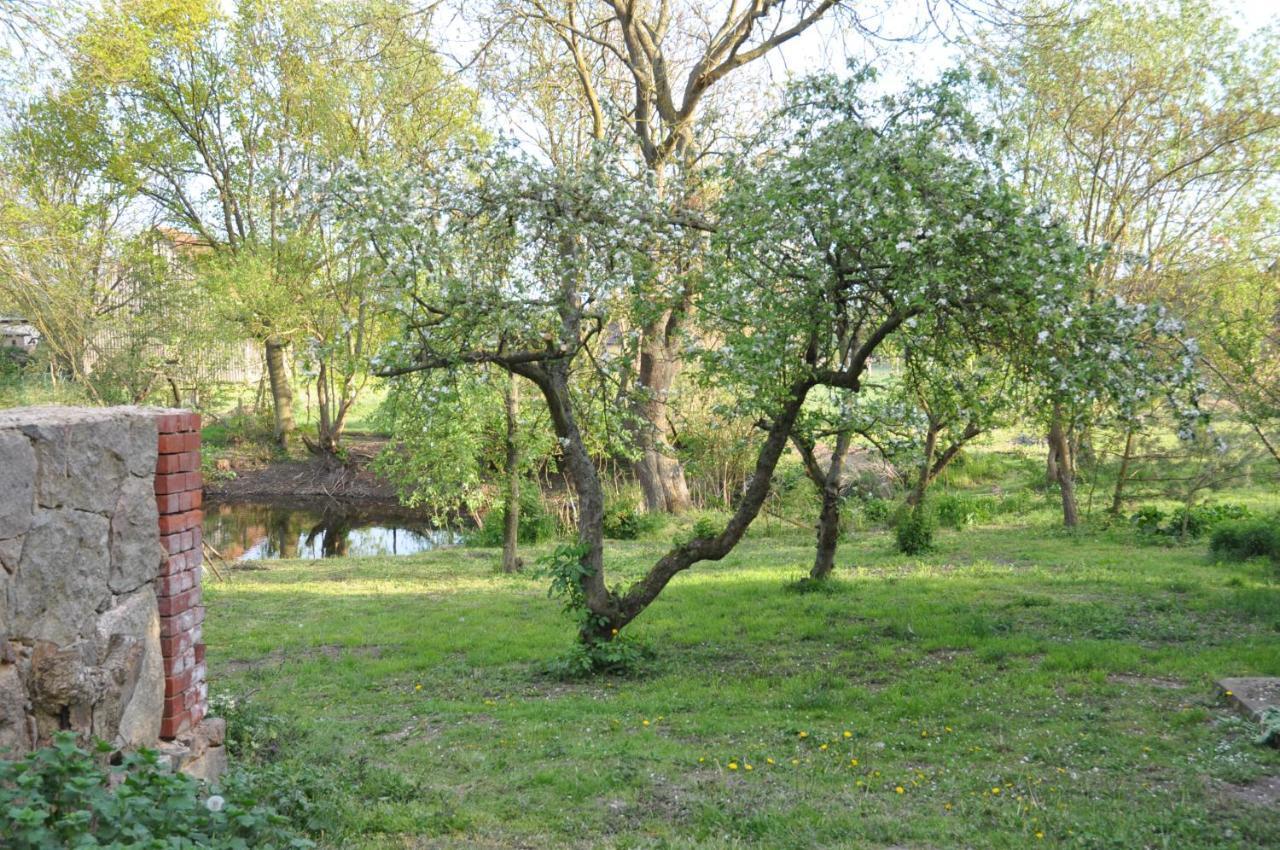 Ferienhaus Caselow 23 Bergholz Екстериор снимка