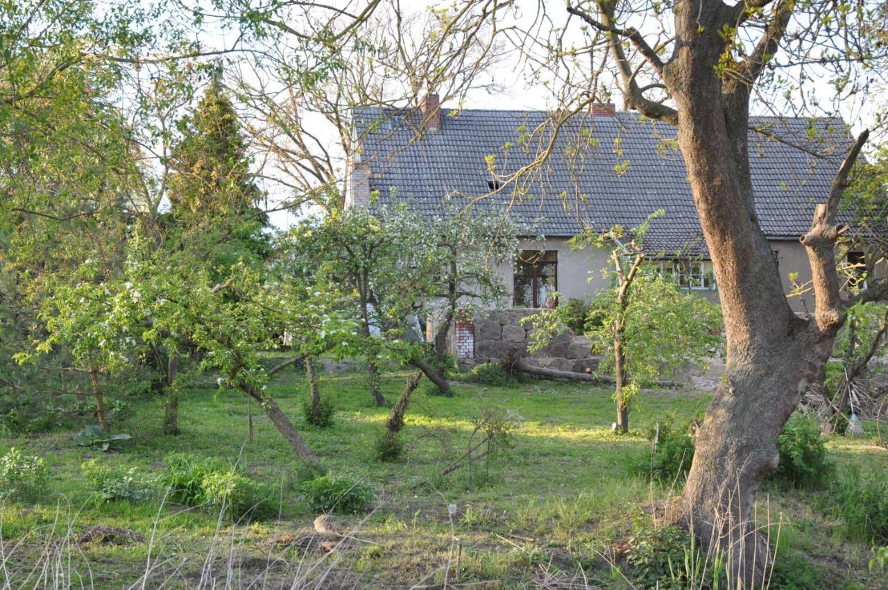 Ferienhaus Caselow 23 Bergholz Екстериор снимка